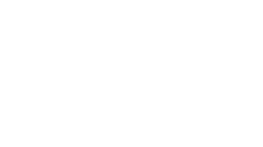 Logo Pensioenvisie